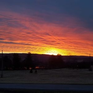 Meet your Posher, Bonnie